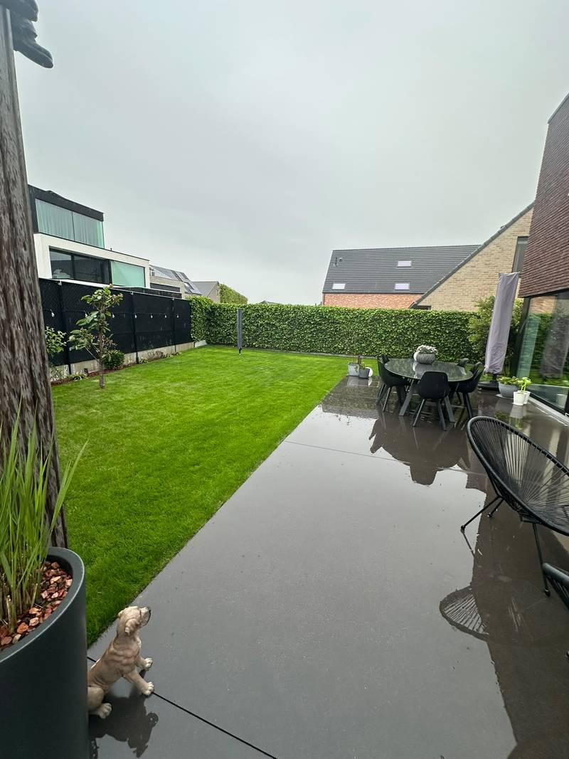 Egaal gazon naast een donker terras met tuinset, omringd door een strakke haag